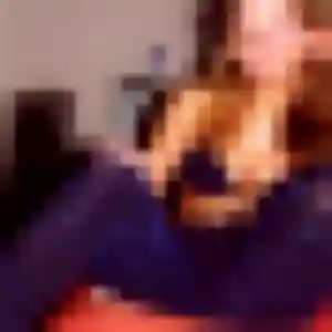 beurette à Saint-Martin-de-Hinx : profil de Siham, 38 ans - inscription gratuite