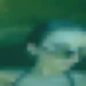 Photo de Jihane à Saint-Martin-du-Bois (30 ans) - beurette anonyme