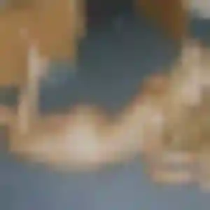 Belle Yasmine, 42 ans à Saint-Martin-du-Var - voir sa photo