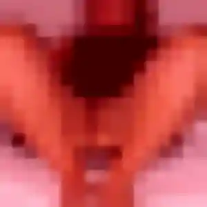 Profil de Jihane à Saint-Maurice-le-Girard (28 ans) - beurette anonyme