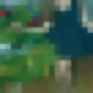 Photo privée de Nassima, 36 ans à Saint-Mesmes - rencontre sans lendemain