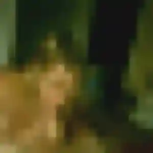Ouarda de Saint-Paër, 33 ans - beurette discret