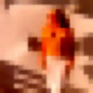 Photo perso de Rym, 22 ans à Saint-Paulien - plan discret