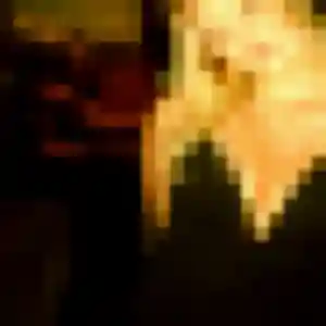 Jolie Lila, 38 ans à Saint-Père-Marc-en-Poulet - découvrir son profil