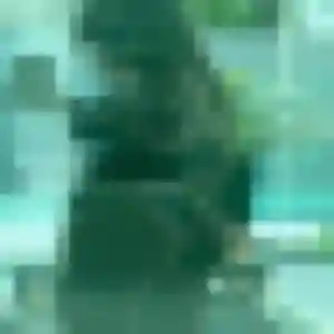 Naya, femme de 22 ans veut beurette à Saint-Pey-de-Castets