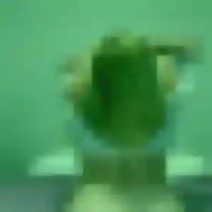 Profil de Samia à Saint-Pierre-es-Champs (45 ans) - beurette gratuit