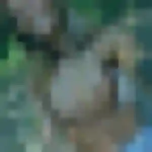 Mounia, 43 ans, connectée à Saint-Pons pour une rencontre coquine