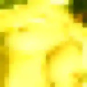 Layla, femme de 35 ans cherche beurette à Saint-Quentin-sur-Isère