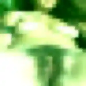 Inaya de Saint-Remy-du-Nord, 33 ans - beurette discret