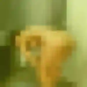 Contacte Mina, 42 ans à Saint-Rémy-sur-Avre en privé