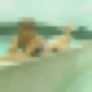 Nadia (44 ans) à Saint-Roch cherche un beurette ce soir