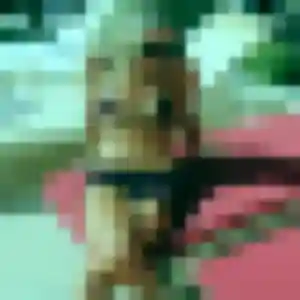 Photo exclusive de Ilham, 43 ans à Saint-Romans-lès-Melle - rencontre coquine