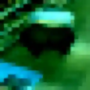 Safia, 45 ans, cherche un beurette à Saint-Sauveur