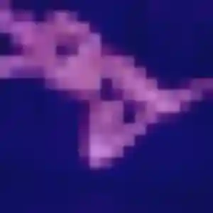 Anissa (42 ans) à Saint-Sébastien-de-Morsent propose un beurette ce soir