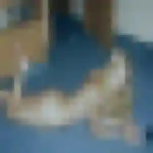 Inaya (34 ans) à Saint-Sernin-du-Bois cherche un beurette ce soir