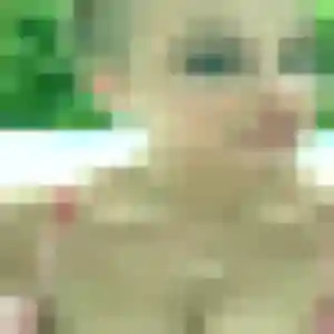 Hafsa, femme de 29 ans cherche beurette à Saint-Sulpice-le-Guérétois