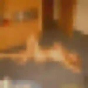 Yara (42 ans) à Saint-Sylvestre-Pragoulin cherche un beurette ce soir