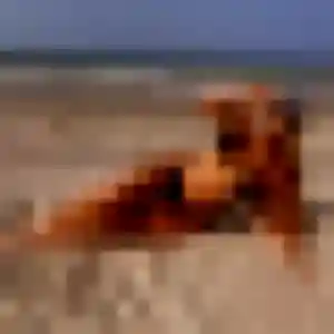 beurette à Saint-Symphorien : photo de Safia, 38 ans - inscription gratuite