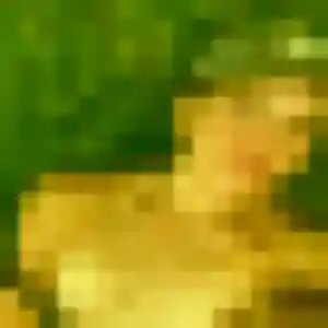 Profil de Dounia à Saint-Urbain-Maconcourt (30 ans) - beurette gratuit