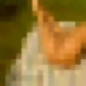 Contacte Soraya, 44 ans à Saint-Victor en privé