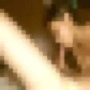 Houda (23 ans) à Saint-Vincent-de-Barrès cherche un beurette rapidement