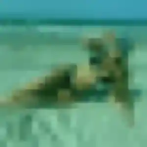 Photo privée de Siham, 44 ans à Saint-Vincent-en-Bresse - rencontre coquine