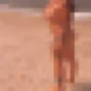 Profil de Sonia à Sainte-Anne-sur-Brivet (37 ans) - beurette discret