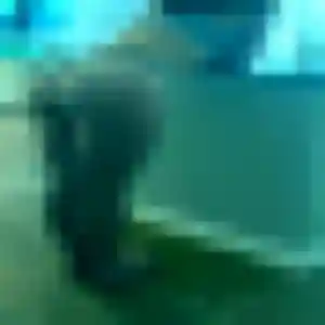 Photo perso de Yamina, 33 ans à Sainte-Colombe - rencontre coquine