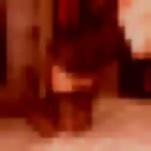 Photo de Fatiha à Salagnon (24 ans) - beurette sans inscription