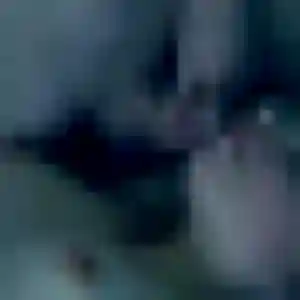 beurette à Sallaumines : profil de Alya, 28 ans - accès libre