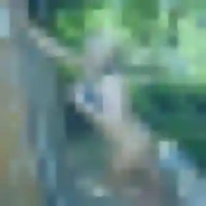 beurette à Salomé : photo de Meriem, 34 ans - accès libre