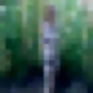 Profil de Hafsa à Sand (27 ans) - beurette anonyme