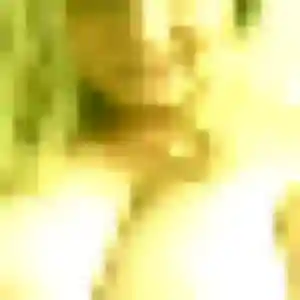 Photo de Sanaa à Sarras (25 ans) - beurette sans inscription