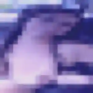 Rejoins Chaima, 40 ans à Saugnac-et-Muret en privé