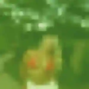 Alina de Saulcy-sur-Meurthe, 41 ans - beurette sans lendemain
