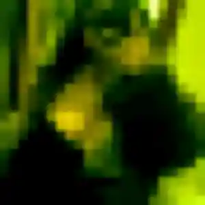Photo de Safiya à Saulnières (25 ans) - beurette sans inscription