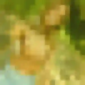 Mina, 22 ans, connectée à Saulty pour une rencontre coquine
