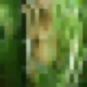 Photo de Karima à Saumane-de-Vaucluse (31 ans) - beurette anonyme