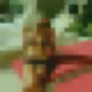 Photo de Feriel à Sauzet (37 ans) - beurette discret