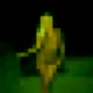 Profil de Feriel à Scheibenhard (35 ans) - beurette anonyme