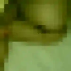 Photo privée de Karima, 34 ans à Scientrier - plan discret