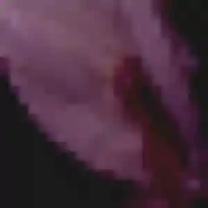 Photo de Maya à Seissan (26 ans) - beurette gratuit
