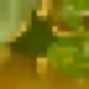Profil de Sanaa à Semur-en-Brionnais (32 ans) - beurette anonyme