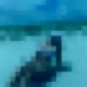 Rejoins Lila, 35 ans à Sérignac-sur-Garonne en t'inscrivant