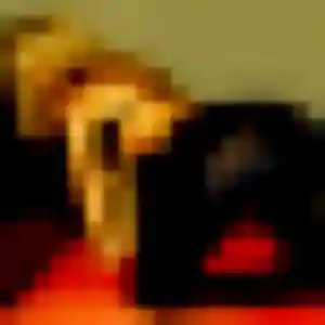 Photo exclusive de Dalila, 23 ans à Sérignan-du-Comtat - rencontre coquine