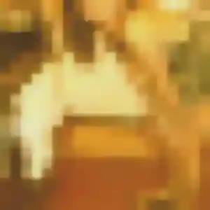 Selma (23 ans) à Serques cherche un beurette rapidement