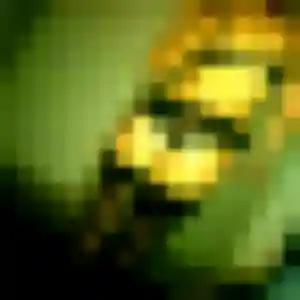 beurette à Sevrey : photo de Wahiba, 36 ans - inscription gratuite