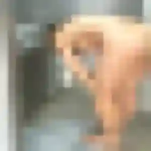 Rejoins Noura, 29 ans à Sierentz gratuitement