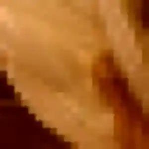 Photo exclusive de Dihya, 28 ans à Sigournais - rencontre coquine