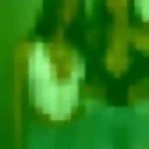 Photo de Amel à Silly-sur-Nied (23 ans) - beurette sans inscription